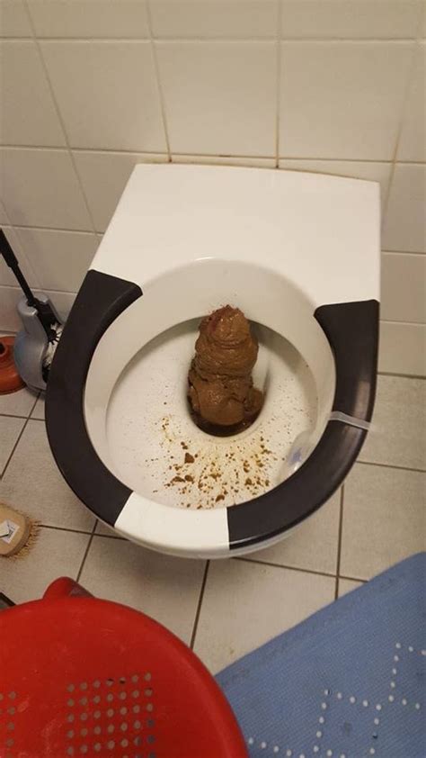 Enormous Big Scat By Sophia Faber And Penelope .